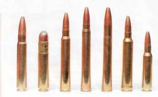 Патроны Blaser для магазинных карабинов и штуцеров (слева направо): 9,3x62, .45 Blaser, .30R Blaser, 8x75RS, 9,3x74R, .300 Win. Mag. и .308 Win. Патроны Blaser для магазинных карабинов и штуцеров (слева направо): 9,3x62, .45 Blaser, .30R Blaser, 8x75RS, 9,3x74R, .300 Win. Mag. и .308 Win.
