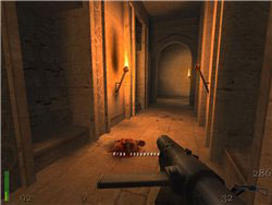 Return to castle Wolfenstein Return to castle Wolfenstein